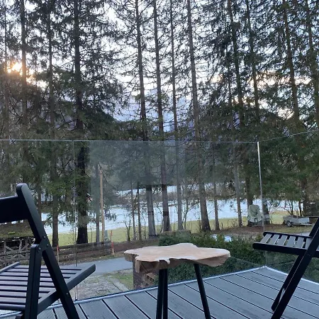 Apartment Pine Tree House