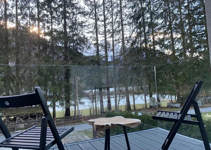 Apartment Pine Tree House